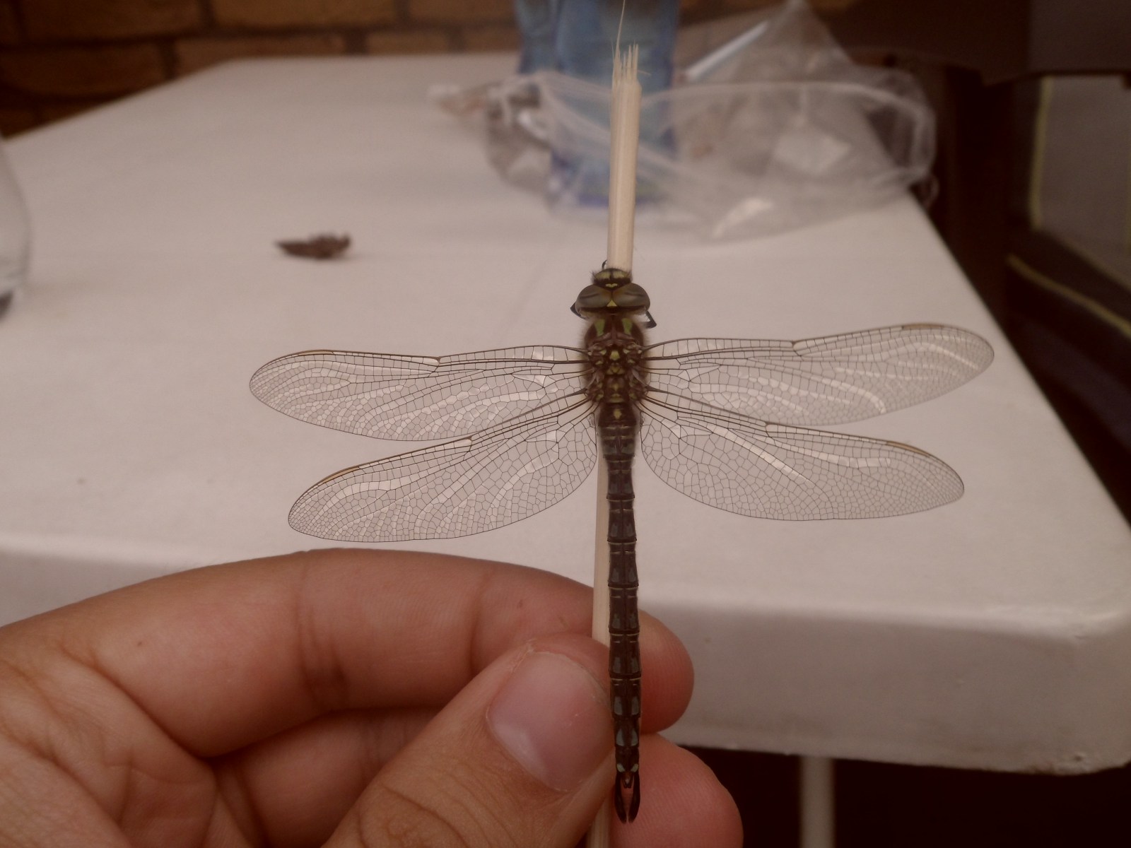 8713730829_8b50a7bfb3_o